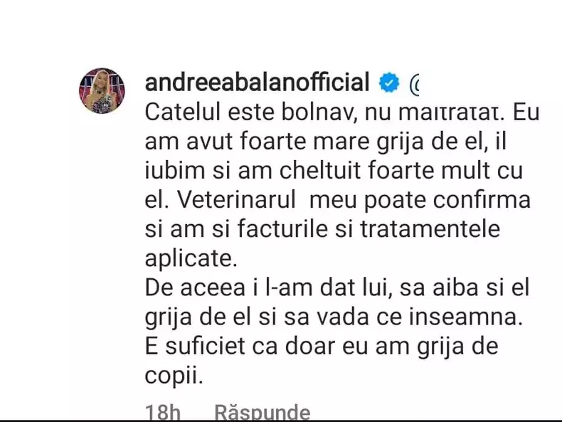 andreea-balan-amenintata-2