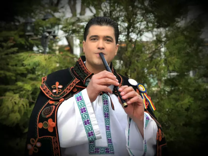 gelu voicu artist