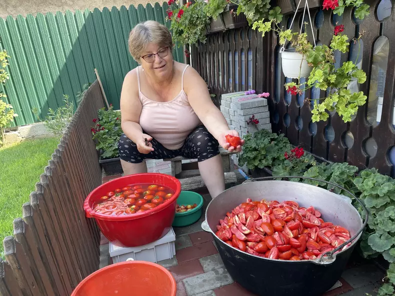 458697479_1130505205306170_4085077993494030021_n