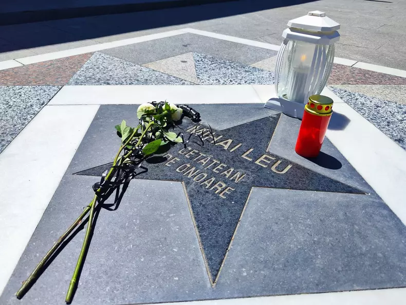 steaua dedicata lui mihai leu2