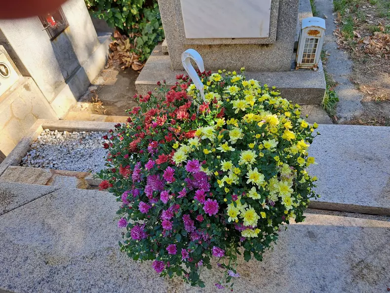 554305233_25146822971597230_1867887141345947934_n