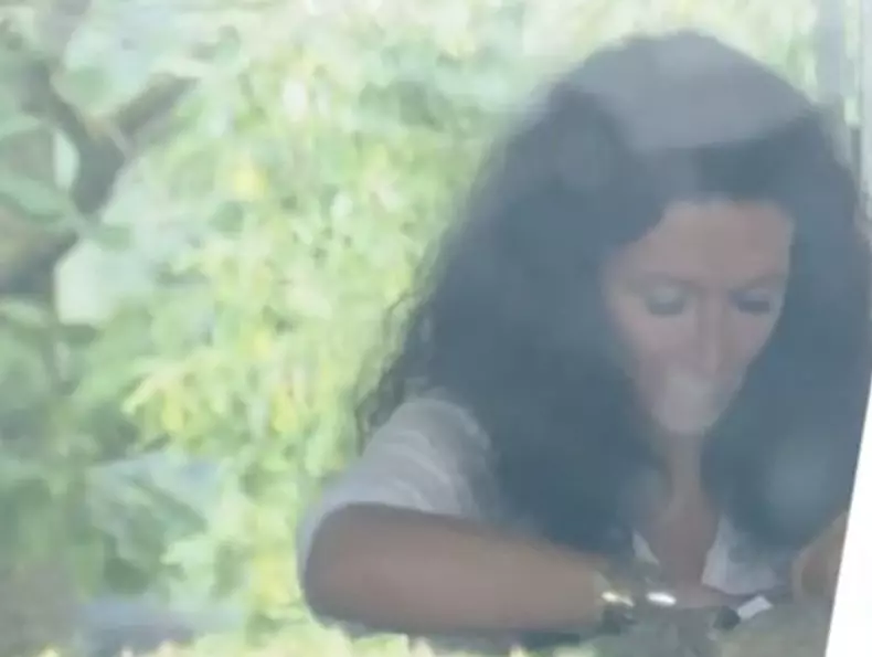mihaela radulescu inmormantare felix