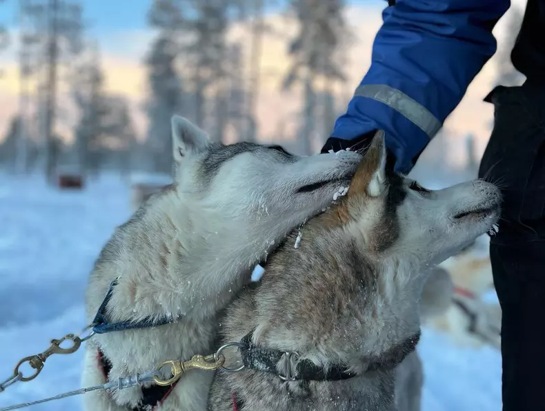 Anca-Dumitra-imagini-din-vacanta-de-vis-in-Laponia-2