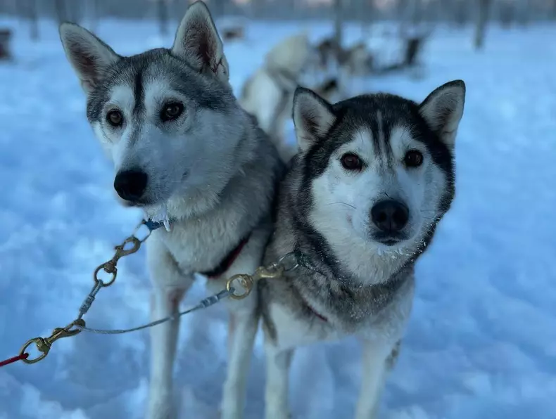 Anca-Dumitra-imagini-din-vacanta-de-vis-in-Laponia-3