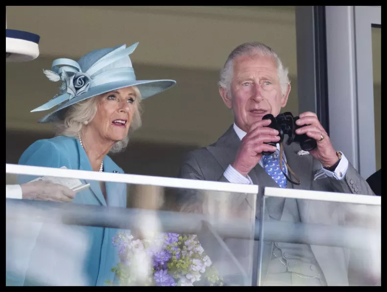 Camilla, detalii rare despre căsnicia ei cu prințul Charles
