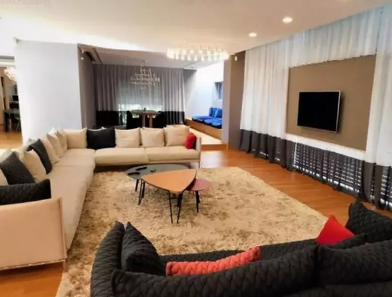 casa Cristi Chivu (2)