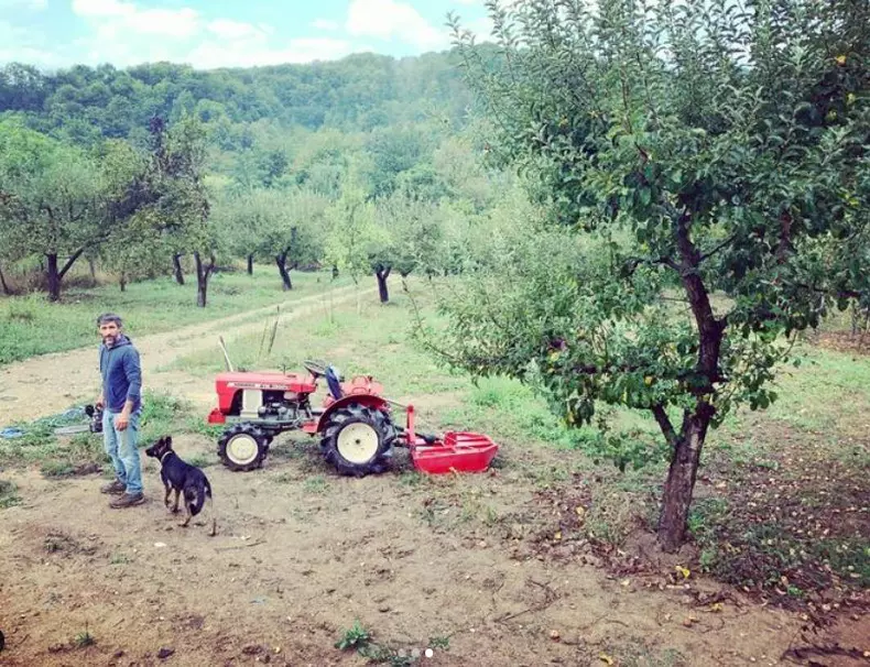 dragoss viata la tara