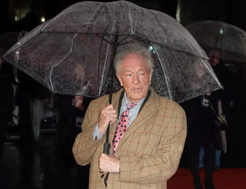 Michael Gambon a murit