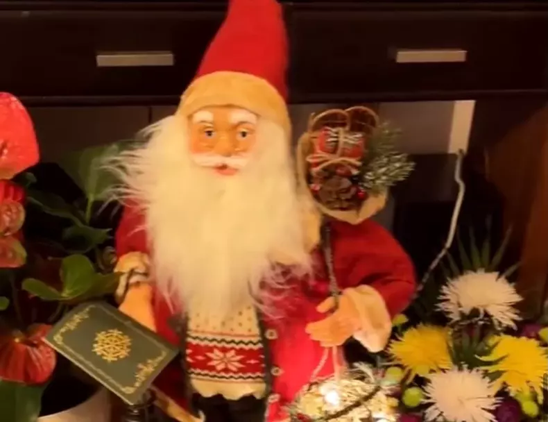 ioana-ginghina-casa3