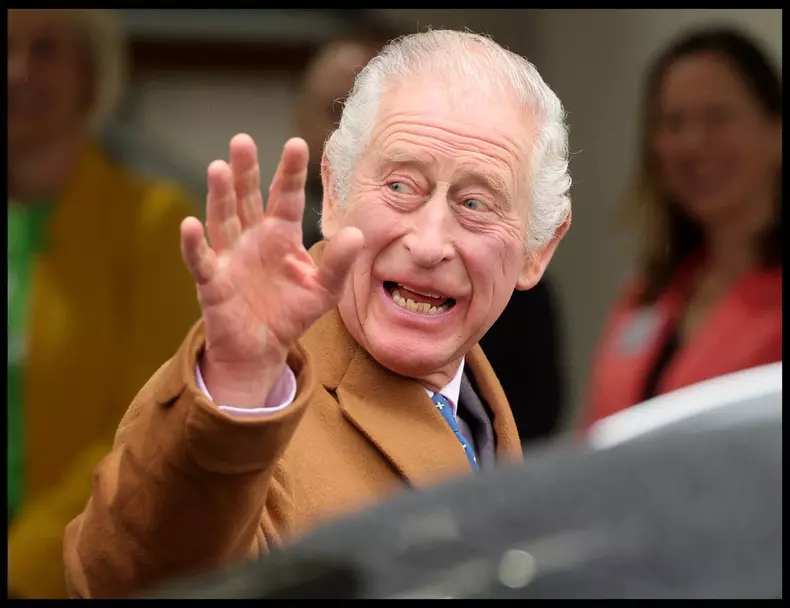Regele Charles si Camilla