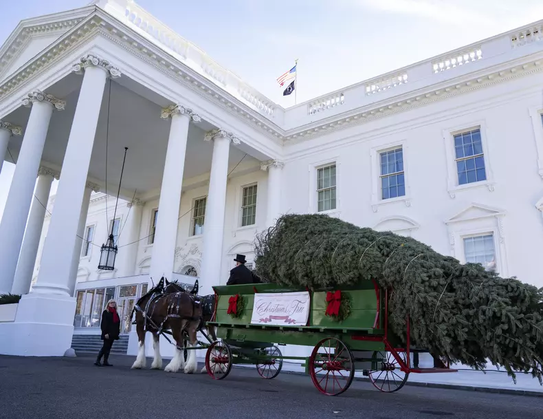 Melania Trump Welcomes Official 2025 White House Christmas Tree In Washington, DC - 24 Nov 2025