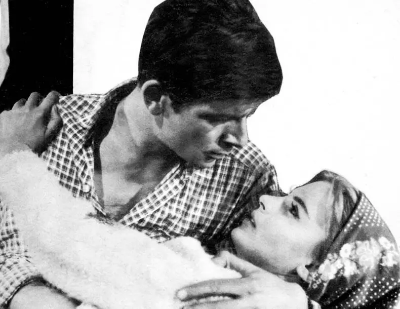 58870313_361361334491808_101130631391477760_n