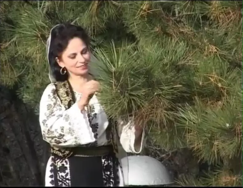 12439447_1123447664372630_107362318238994208_n