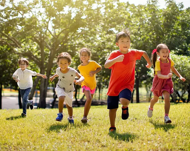 Auto-bild.ro-teddybar.ro