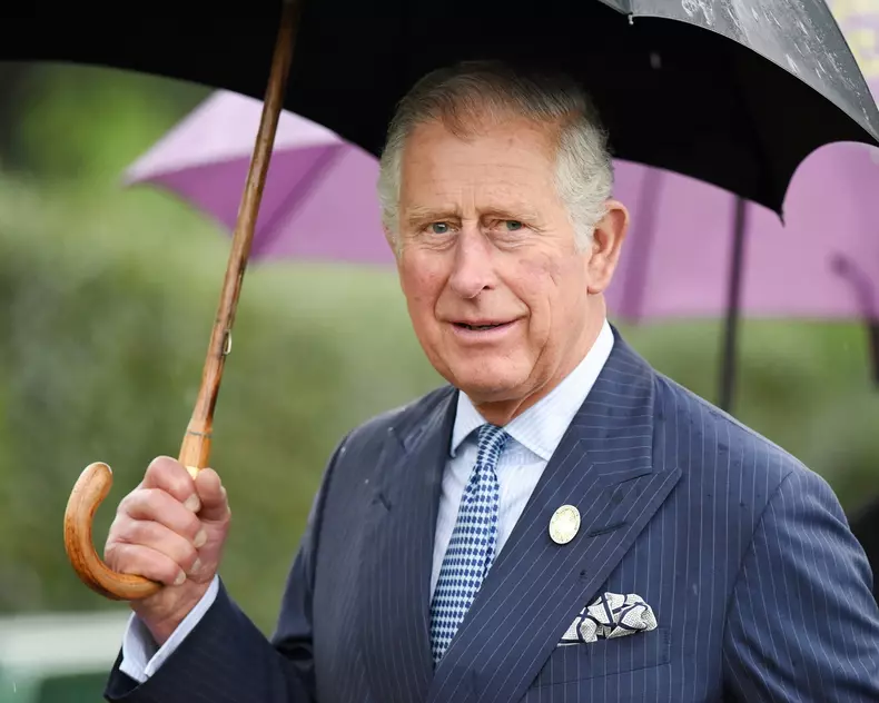 regele-charles-1
