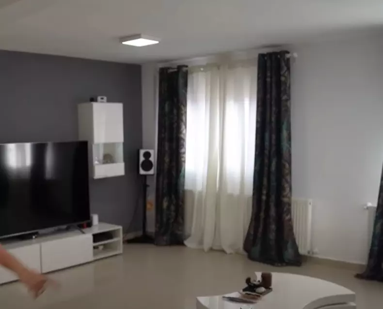 casa_lui_liviu_teodorescu-4