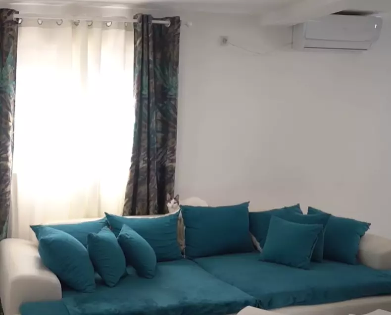 casa_lui_liviu_teodorescu-5