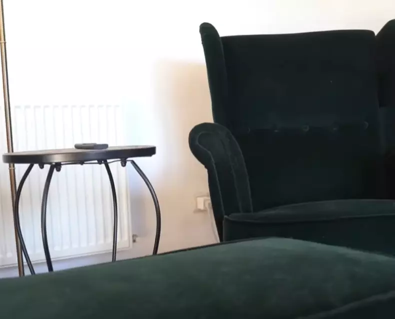 casa_lui_liviu_teodorescu-6