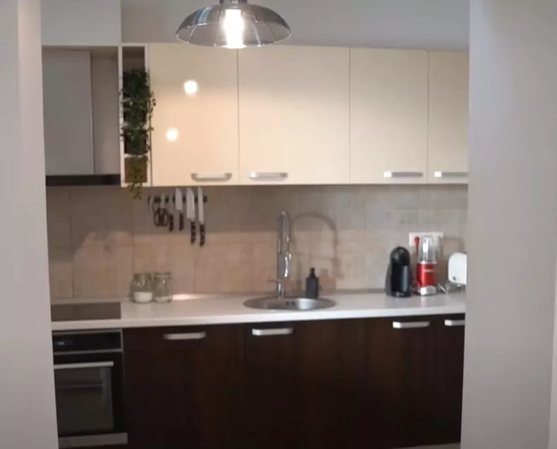 casa_lui_liviu_teodorescu-7