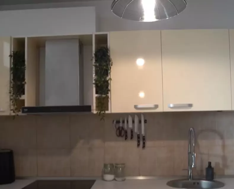 casa_lui_liviu_teodorescu-8