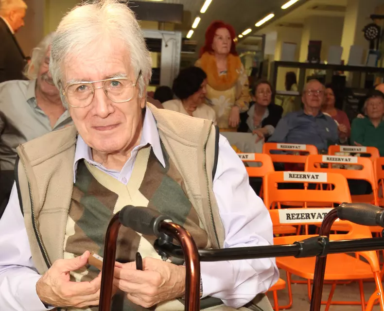 cornel-constantiniu-p-2