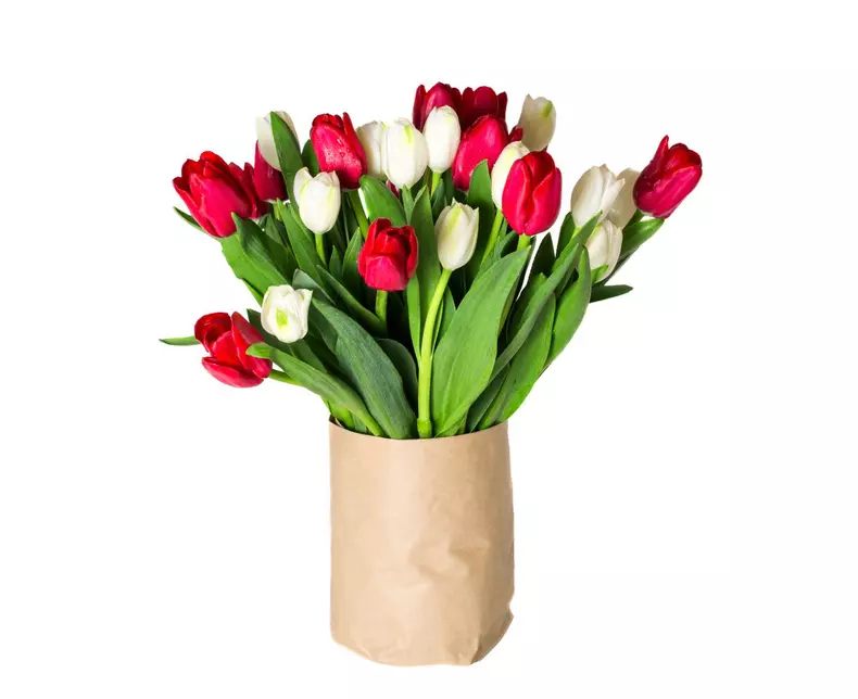 Amazing,Flowers,Background.,Beautiful,View,Of,Red,And,White,Flowering