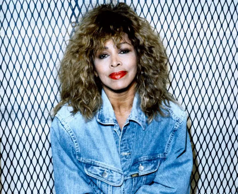 cantareata tina turner