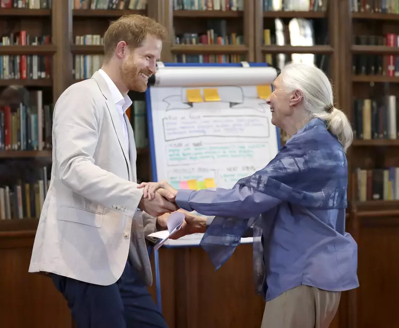 Prințul Harry și Meghan Markle vor avea doar doi copii