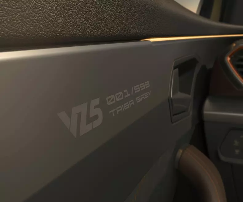 Cupra Formentor VZ5 Taiga 001