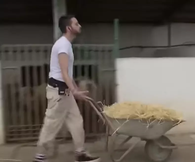 David Puscas la ferma 6