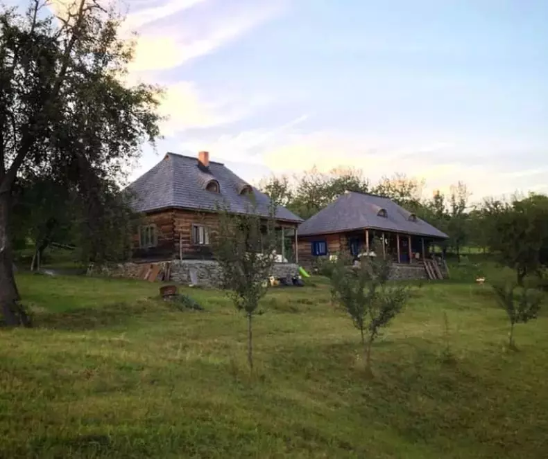 pensiunile lui dorin brotnei