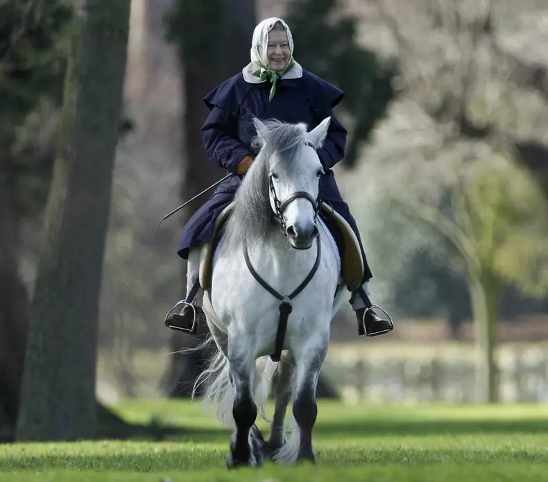 Regina Elisabeta martie 2017