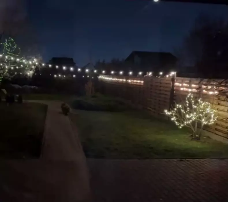 ioana-ginghina-casa4