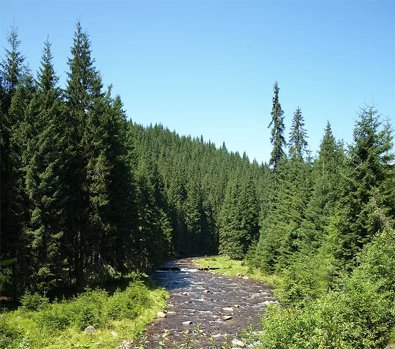 blj_08152010_122716_036