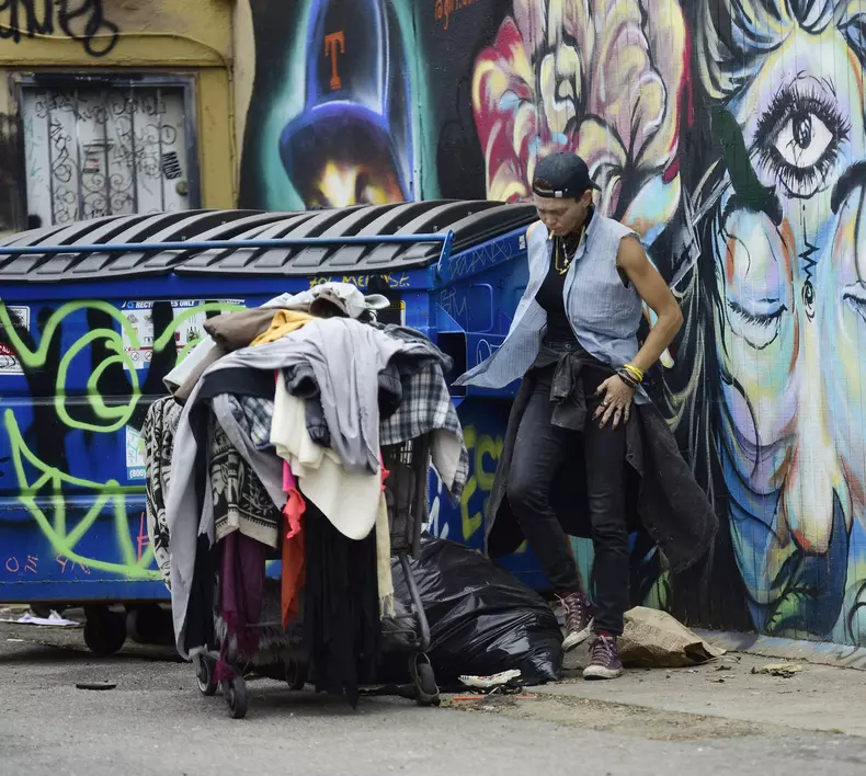 EXCLUSIVE: Loni Willison seen dumpster diving in Los Angeles
