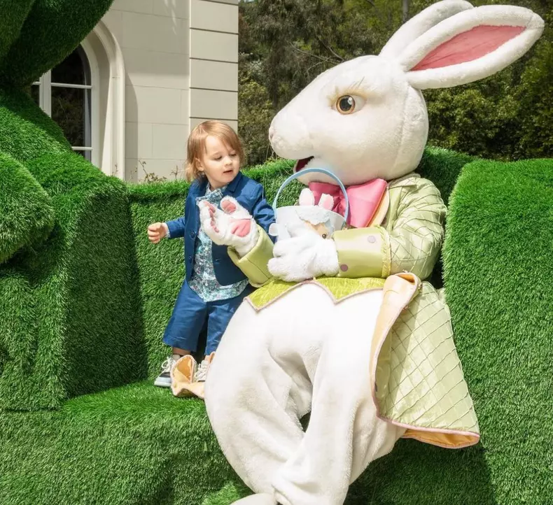 whatsapp-image-2024-04-04-at-2.38.36-pm