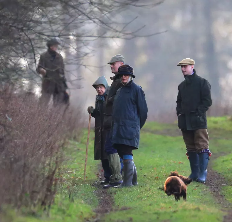 Familia-Regala-Vanatoare6