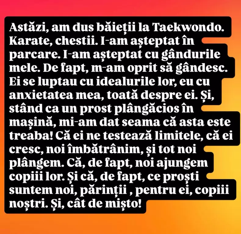 Radu Vâlcan mesaj