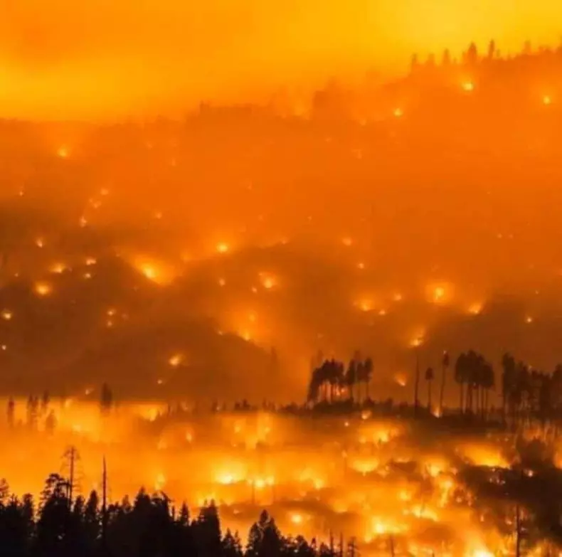 10 imagini de la incendiile devastatoare din Australia care au înduioșat planeta