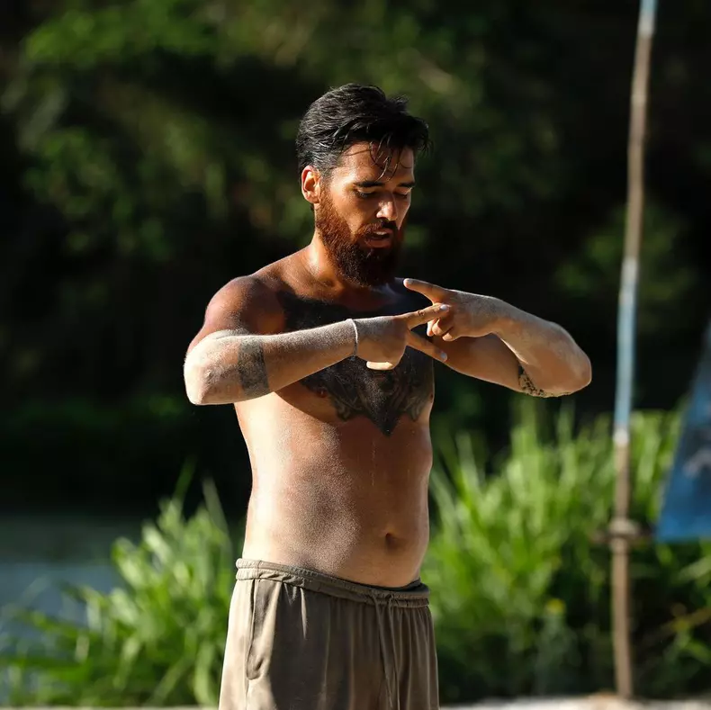 Survivor all stars (1)