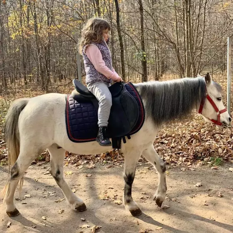 maria-basescu-nepoti-echitatie-