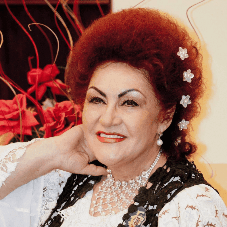 elena merisoreanu problem