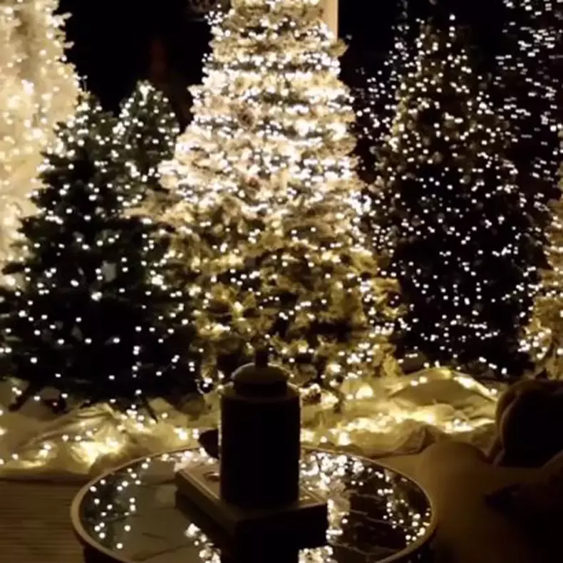 brazi-impodobiti-anna-lesko