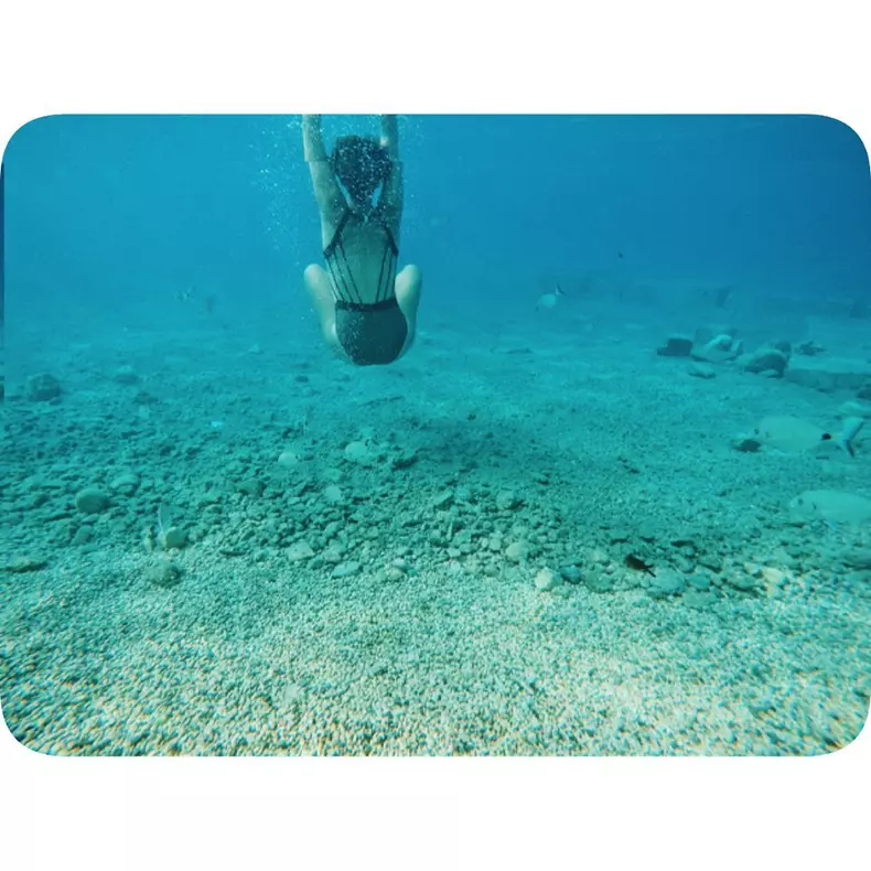 65479204_535785876959032_2641809987165141643_n