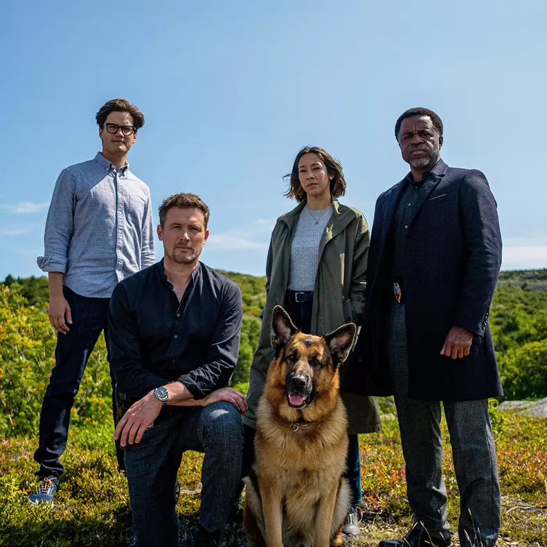 Hudson și Rex. Ce trebuie să știți despre eroul canin al serialului canadian de la TVR 2