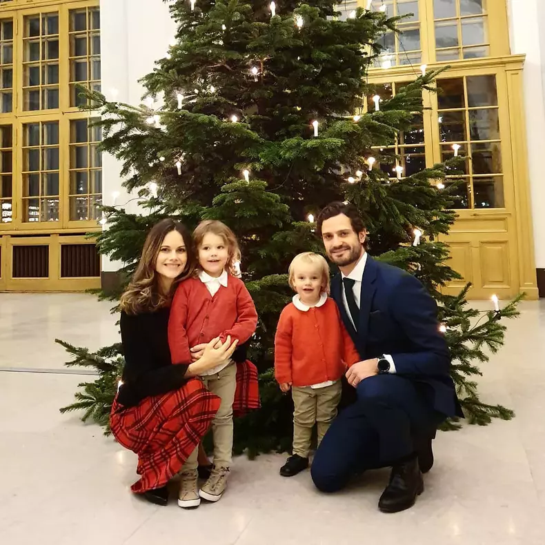 Prințul Carl Philip, Prințesa Sofia și fiii lor