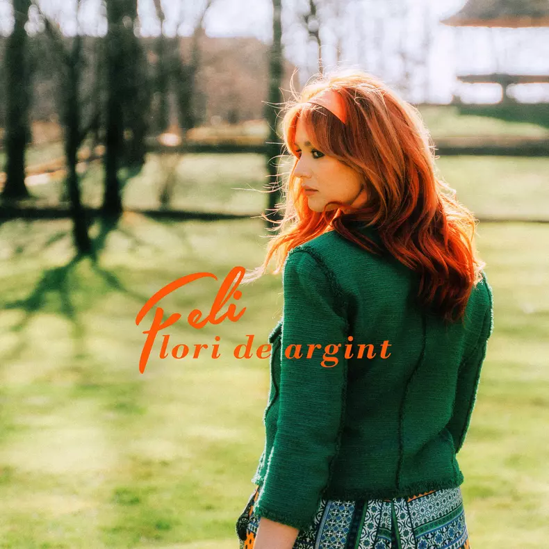 Feli - Flori de argint