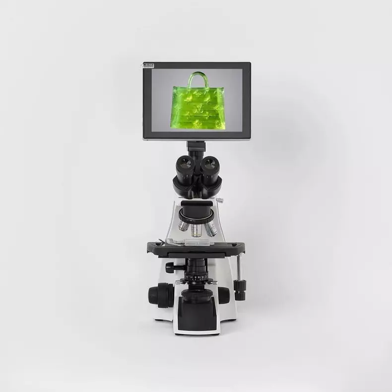 Louis Vuitton geantă microscopică