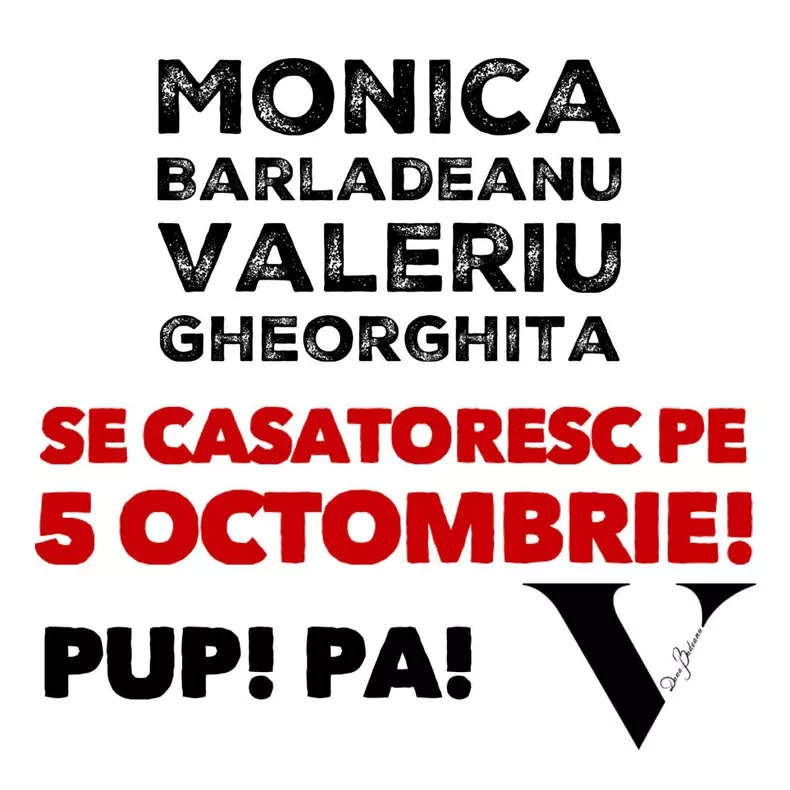 dana-budeanu-anunt