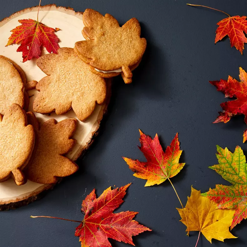 maple-cream-sandwich-cookies-MBAK903-north-america-0227-v2-d113210